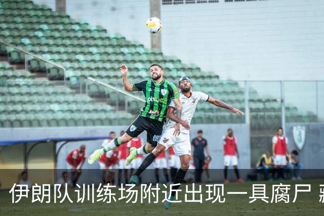 伊朗队训练场附近出现一具腐尸 藏在车辆后备箱+黑袋包裹